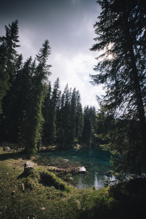 thatslikeoutrageous: eartheld: elenamorelli: { trees and the lake } mostly nature 80% nature