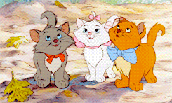 lady-arryn: Everybody wants to be a cat. Because a cat’s the only cat who knows