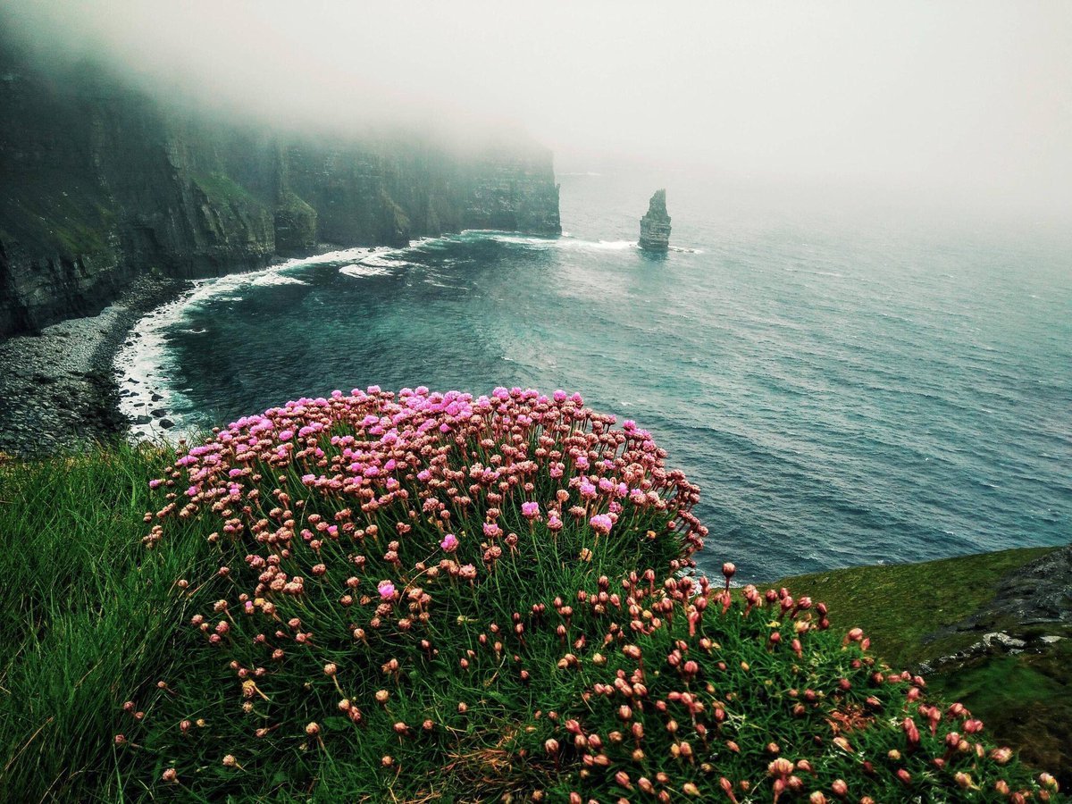 different-landscapes:  Cliffs of Moher, Ireland 🇮🇪  Photography by Mike Block