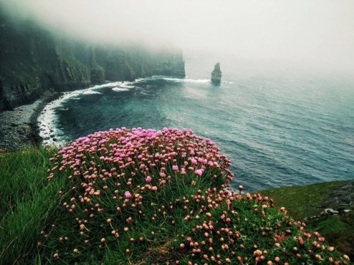 Porn Pics different-landscapes:  Cliffs of Moher, Ireland