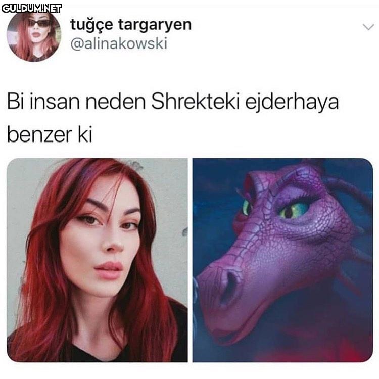 Benzer İşler tuğçe...