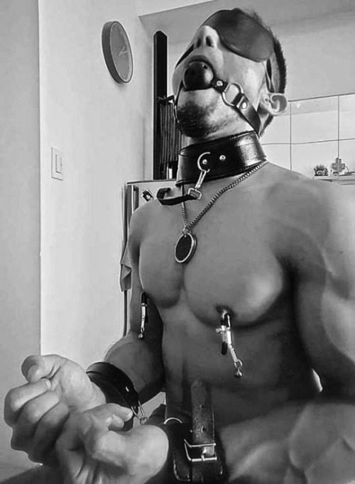 https://nipplepigs.tumblr.com/post/171379130657