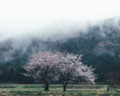 boredpanda: Japanese Photographer Documents The Beauty Of Everyday Life In Japan