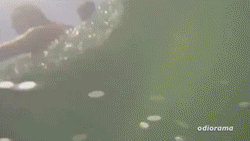 nakedologiest:Take the ride and live free.