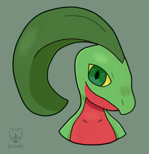 Didn’t like the other grovyle drawing I did, so I made a new one.