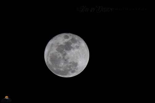 Howl at the Wolf Moon | January 23rdTumblr | Facebook | Storenvy