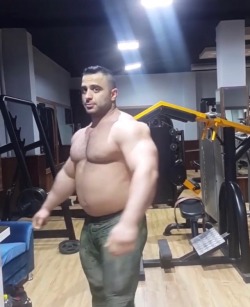 fleshandmuscle:I’m really appreciating Babak’s growing muscle gut and beef