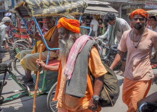 ararat-always:monkeyandpumpkin:Street Life in India Chandni Chowk, New Delhi, IndiaGoin home o