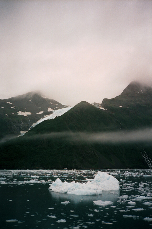 touchdisky:Alaska | USA by Matt Steenhoek