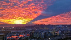 matahitorigoto:  heavvymetalqueen:  unicorn-meat-is-too-mainstream:  The Shadow of Mount Rainier  Mount Rainier is creepy.  Concealed within his fortress, the lord of Mordor sees all. His gaze pierces cloud, shadow, earth, and flesh 