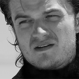 psilord9574:Joe Keery