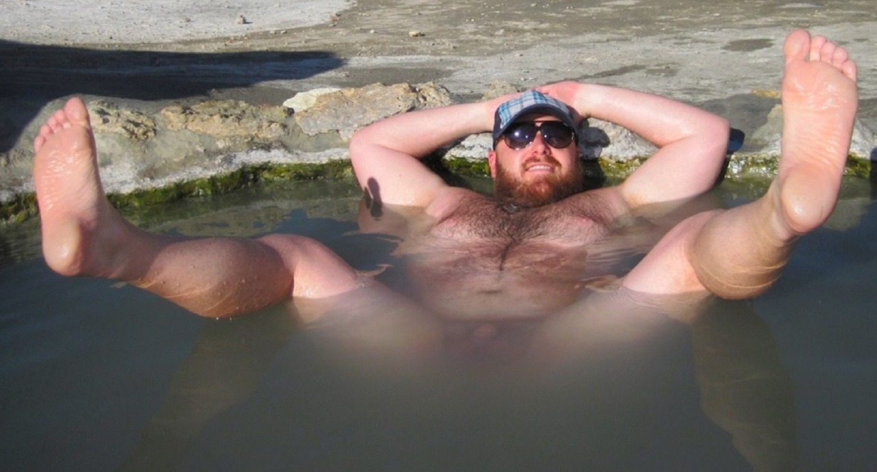 HOUSEBEARSOFUSA