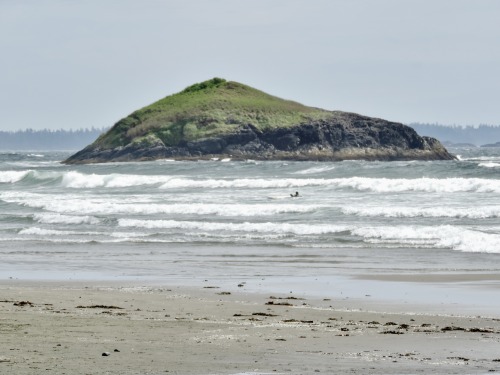 Lone Surfer in April Waves, Pacific Rim National Park, Vancouver Island, British Columbia, 2016.