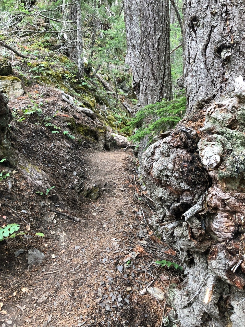 Hiked up to Goat Lake in the Buckhorn Wilderness yesterday for the first time in