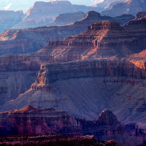 The Grand Canyon is one of the wonders of the world. Have you been? #EverythingEverywhere #TLPicks #