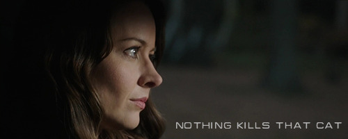 bieiesbas:  Nothing kills that cat