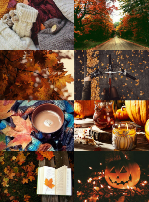 mypieceofculture:Halloween Aesthetics // Autumn Aesthetic