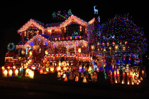 the-chilly-seasons:Christmas lights appreciation post.