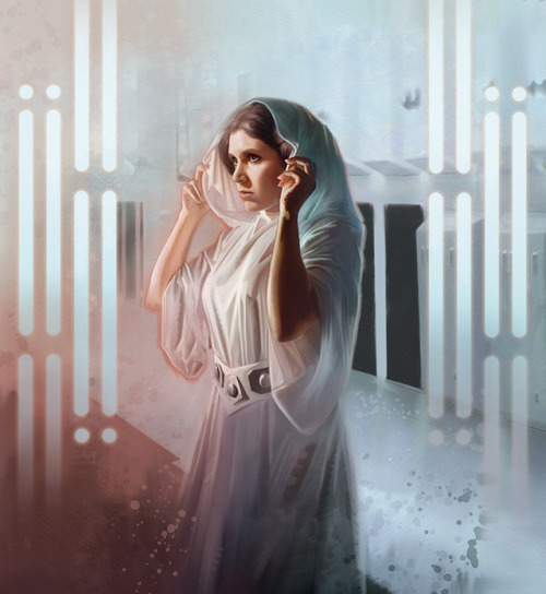 starwarsartnow:The Princess by Brian Rood