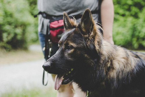 simply-a-lost-boy: Mr. Handsome @the-dog-without-fear 