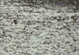 jasminevgif:  Jasmine V Gets Punk’d 
