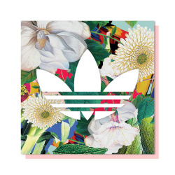 visualgraphc:  Adidas Originals | Rossana