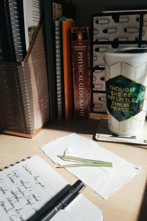 fiercelittlestudyblr:23/3/17 I’m working on a physical geography practical write up right now about 