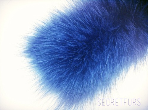 Secret Furs