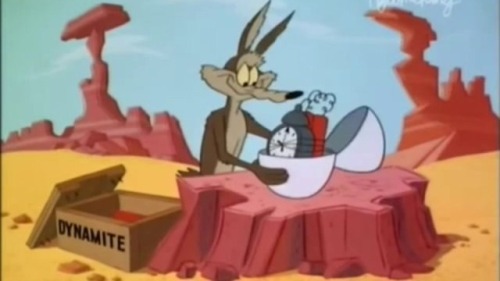 wile e coyote