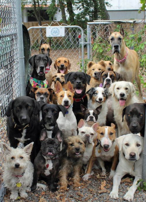 tastefullyoffensive: Tag yourself. (via HeyVeronica)