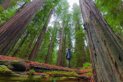 cakencookies:  hay-gurll:  mamamaboo:  14 Life Changing Destinations In America  See them all: HERE   Me right now:   NUMBER 6 IS SO AMAZING I NEED TO GO THERE 