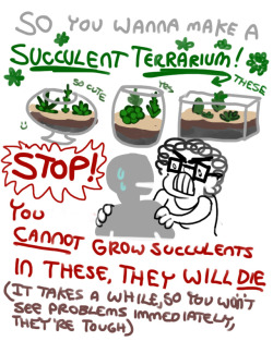 my-oddly-drawn-circus:  liftingfox:  tumorhead:  I KEEP SEEING THESE THINGS!!! WHYYY!!   Ok but get this, they’re just plants  ^that doesn’t mean you shouldn’t give a fuck about them. Don’t fucking get plants if you’re just gonna let them die.