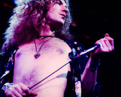 soundsof71:  Robert Plant, Seattle 1975, by John Brott