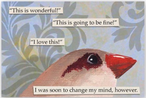 Trc Characters As Troubled Birds