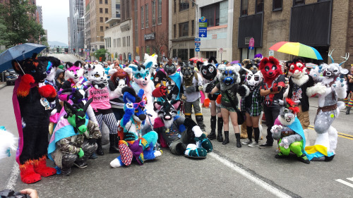 I will defend furries to my grave!