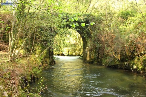 Pozo do Inferno, en CrecenteInfo: https://www.galiciamaxica.eu/galicia/pozo-do-inferno-rio-ribadil/