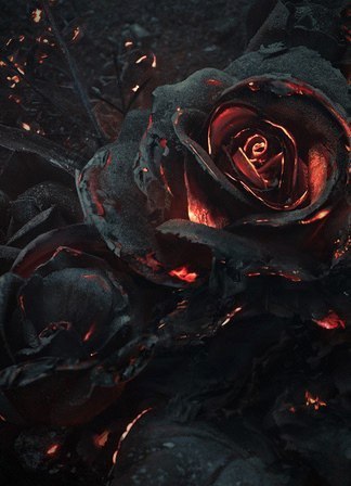 socialpsychopathblr:Bouquet of burning roses by Ars Thanea