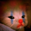 maytheclown