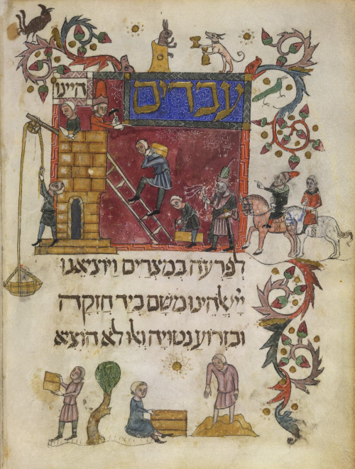 shelomit-bat-dvorah:jewishhenna:letmypeopleshow:10 Lavishly Illustrated Medieval Haggadah Pages That