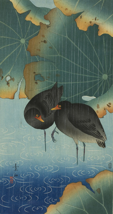 japaneseaesthetics:Artist: Komori SosekiTitle: MoorhensDate: 1929Medium: Color woodblock printCredit