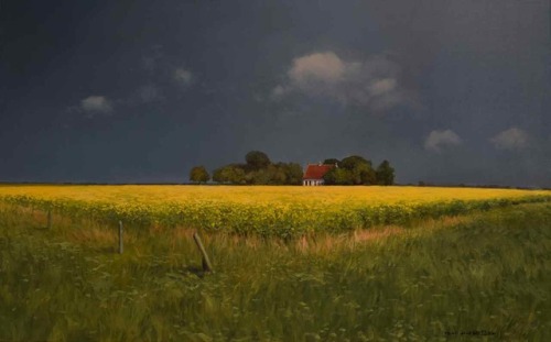 Roeland van der Kley - Mustard Field at Magrette. Oil on linen.