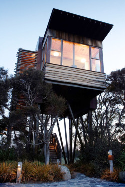 life1nmotion:  Treehouses cooler than your apartment