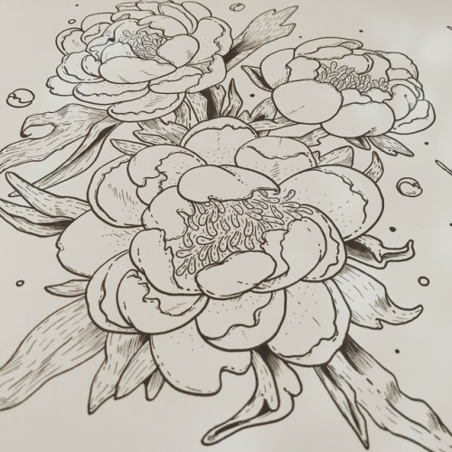 New product coming soon #creativemarket #flowers #floral #pigmamicron #sacuramicron #liners #drawing