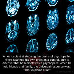 mindblowingfactz:  A neuroscientist studying the brains of psychopathic killers scanned his own brain as a control, only to discover that he himself was a psychopath. When he told friends and family, the universal response was, “That explains a lot.”