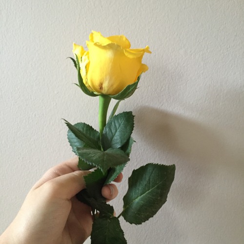 beauxmoi:Instagram: lydia_ _richardsDo not remove caption, will follow back similar