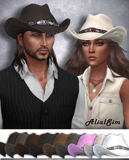 Lower Cowboy HatDownloadCredit for the mesh: @sg5150