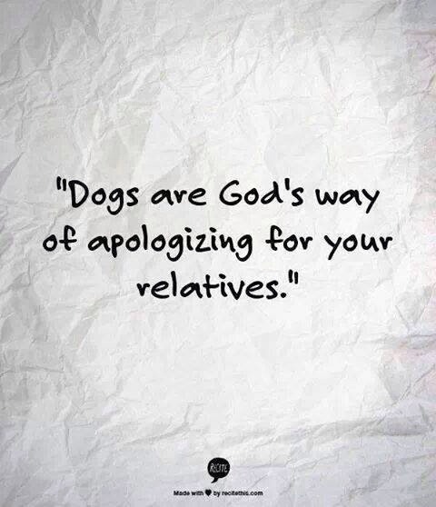 slinkygrl:  Hahaha that must be why I have so many dogs!