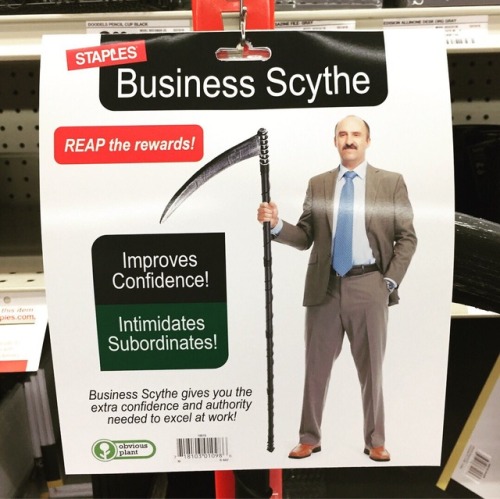 obviousplant:I left this important business accessory in a Staples.