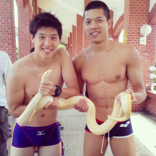 chinesemale:  蟒蛇好噁啊啊啊啊啊啊！ by wuchunfeng http://ift.tt/1ux8QTh