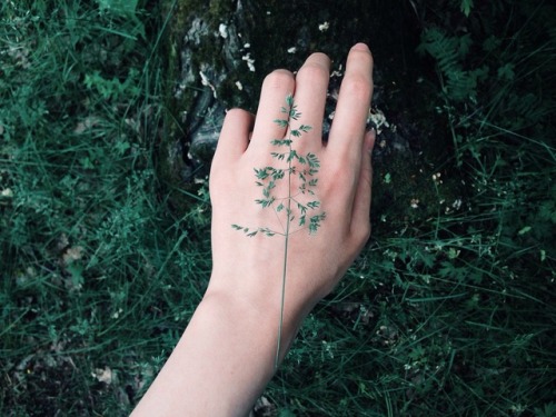 casualistic: unknown